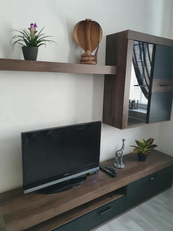 Apartman Kala Česká Lípa room 1